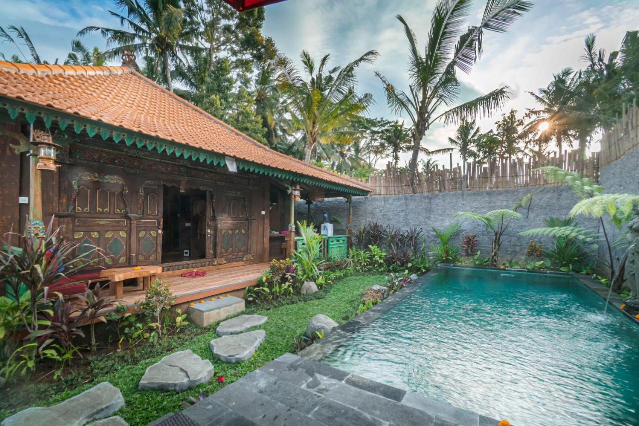 The Forest Batu Kurung Ubud Eksteriør billede
